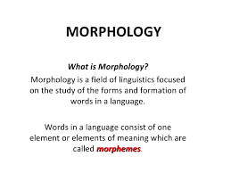 Morpheme 1.the meaning of morpheme according to blau (2010 : Morphology Son