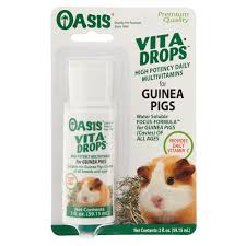 A microscopic amount, but what a difference it makes! Oasis Vita Drops Trade High Potency Guinea Pig Daily Multivitamins Small Pet Vitamins Supplements Petsmart