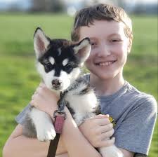 Does purchasing an item remove ads for daily song play?