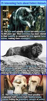 35 Interesting Facts About Extinct Animals And Birds Fact Republic In 2020 Extinct Animals Fun Facts Animal Facts