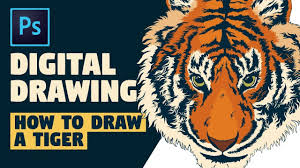 Check spelling or type a new query. How To Draw A Tiger In Photoshop Digital Drawing Tutorial Photoshop Tutorial Drawing Drawing Tutorial Digital Drawing Tutorial
