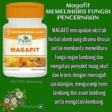 Magafit Obat Maag Akut Maag Kronis Herbal Alami Herba Gaya Hidup Sehat