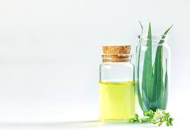 La baby skin its alot more sensitive and is more exposed than adults, this is nothing new. Eucalyptus Oil For Infants Advantages Uses More