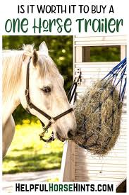 Two Feet Move Your Body Four Feet Move Your Soul Meaning 7 Things To Consider Before Buying A Single Horse Trailer Horses Show Horses Horse Trailer
