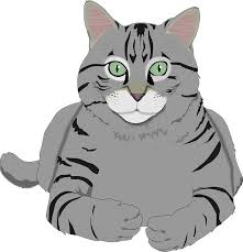 Black And White Tabby Cat Clipart Cat Kitty Gray Tiger Tabby Pet Animal Domestic Cat Sneezing Cat Clipart Kitten Images