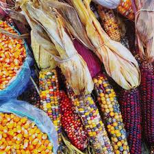 Free online jigsaw puzzles with thousands of beautiful pictures and puzzle cuts. Cardinal 500 Piece Puzzle Assorted Big W