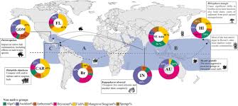 Hallo gaes kembali lagi di chanel saya iqbal al mahdi. A Review Of The Diversity And Impact Of Invasive Non Native Species In Tropical Marine Ecosystems Springerlink