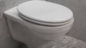 Pour wc suspendu, plaque de commande blanc inclus equipé de pièce de transition modèle 3817 kit de fixation viega eco pack cuvette suspendue sento flush (sans bride) blanc dimension hauteur de confort 41.5 cm abattant blanc réservoir monobloc. Quelle Est La Hauteur Ideale Pour Un Wc Suspendu