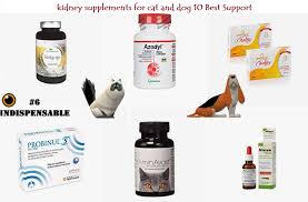 Kidney Support Supplements For Cats And Dog 10 Best Support Elicats It In 2020 Kidney Supplements Dog Cat Dog Renal Failure