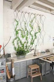 Pin By Danielle Mceachern This Fanc On Camps Bay Cottage Vertical Garden Indoor Vertical Garden Design Plants