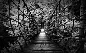 The austerity of black and white art begs to search the soul and offer plain and simple. Wallpaper 1920x1200 Px Architecture B Black Bridges Forest Landscapes Monochrome Nature Photography Rope Scary Trees W White Wood 1920x1200 Wallbase 1782565 Hd Wallpapers Wallhere