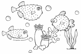 Racun fugu 200 kali lebih berbahaya dari sianida. Gambar Mewarnai Ikan Buntal Contoh Gambar Mewarnai
