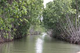 Leo hingga capricorn 19 februari 2022, 12:24 wib. Uji Nyali Di Pulau Hantu Brebes Ada 4 Zona Horor Dihuni Kuntilanak Hingga Genderuwo Okezone Travel