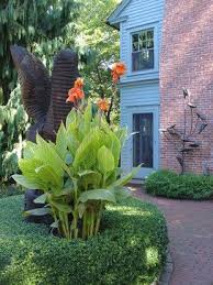 Tropical Landscape Design Ideas Pictures Remodel And Decor Canna Pretoria Tropical Landscape Design Tropical Landscaping Tropical Garden