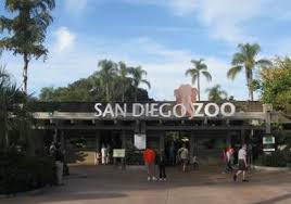 If you were to purchase tickets directly through the safari park online or at the gate, you would pay the following: San Diego Zoo Prices San Diego Zoo Tickets And Discounts
