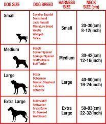 Znalezione Obrazy Dla Zapytania Dog Collar Size Chart Cm