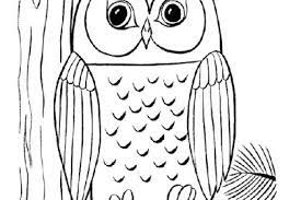10 gambar burung untuk kolase terlihat keren. Sketsa Burung Hantu Radea