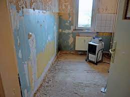 Wenn es um schadensregulierung und versicherungen geht, sind wir ihr zuverlässiger partner. Greifswalder Mieterin Verargert Wvg Habe Zu Spat Auf Einen Wasserschaden Reagiert