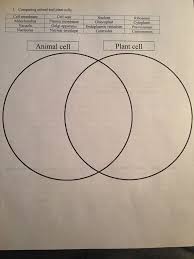 Differences plant cells have a cell wall, chloroplasts and other specialized plastids, and a large central vacuole, which are not found within. Answered 1 Comparing Animal And Plant Cells Bartleby