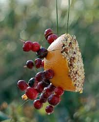 Vogelfutterhaus Selber Machen Fruchte Obst Vogelfutterhaus Vogelhaus Ideen Vogel Im Garten
