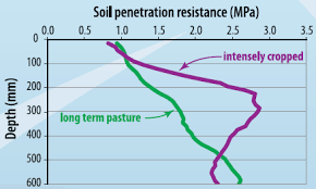 Soil Compaction Tas Fact Sheets Soilquality Org Au