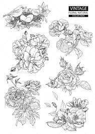 Black And White Flower Outline Images Floral Outline Coloring Vector Vintage Collections Graphic Design Black And White Illustration Black And White Artist