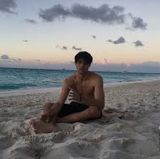 Pin By Marissa Vantress On Peter Kavinsky Boys Noah Celebs