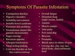 Are Parasites Robbing Your Health Paul Chek S Blog Parasite Cleanse Parasites Symptoms Intestinal Parasites