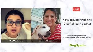 Maybe you would like to learn more about one of these? How To Deal With The Grief Of Losing A Pet Youtube