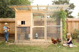 Bangsal sebesar reban ayam jadi rumah anak lembam mental. Kandang Ayam Mini 314167 Info