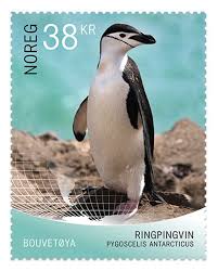 images?q=tbn:ANd9GcRFJ4FLL4DY7nHoDFRavCd