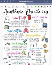 Obsessed With This Anesthesia Cheatsheet I Made With Goodnotes5 And Overapp Veterinaryanesthesia Vet Medicine Vet School Veterinary Tech