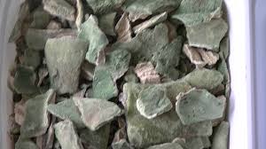 I put them in seperate i water them when the soil feels dry. San Pedro Cactus Chips Natures Ether