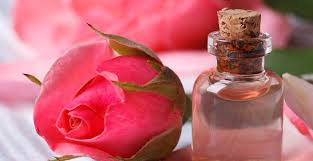 Bunga mawar termasuk ke dalam jenis tanaman semak dari genus rosa. 10 Khasiat Dan Manfaat Air Mawar Tokopedia Blog