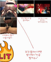 검마 @scatmindee - Twitter Profile | Sotwe