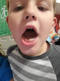 Toddler's first scary event at Kings Island