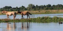 Bezoek het Thiepval Mémorial: indrukwekkend monument