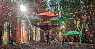 Life cycle of the tentsile stingray: New Models Of Suspended Tents That Let You Sleep Among The Trees Bored Panda