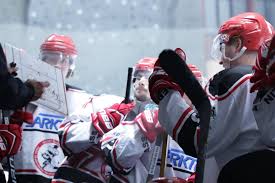 Somit ist schon eine kleine vorentscheidung für den regionalliga ost meistertitel gefallen. Jonsdorf Black Panther Gegen Fass Berlin Fass Berlin Regionalliga Eishockey Baby Strollers Stroller Children