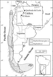 Chile estuvo errático en los pases, jugó hacia el lado y no tuvo momentos memorables a lo largo de a la fecha, paraguay suma seis unidades y con este triunfo quedó ubicado en la segunda posición. Distribution Map Of The Genera Stephacharopa N Gen And Stephadiscus Download Scientific Diagram