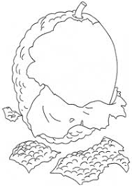 Gambar buah buahan tempatan untuk diwarna. Kertas Mewarna Buah Buahan