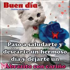 Https Encrypted Tbn0 Gstatic Com Images Q Tbn And9gcscfg5c2h2c Fjfnhs6ldo7m3y5ioaho Qrvq Usqp Cau