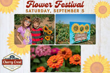 Sunflower Festival