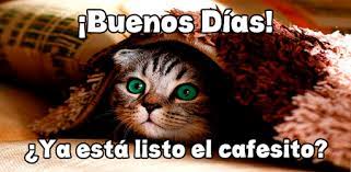 Check spelling or type a new query. Buenos Dias Graciosos Apps Bei Google Play