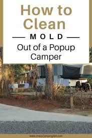 A good mildew and mold remover will treat stains on a variety of surfaces in your home, both inside and outside. Camper Cleaning Crazy Camping Girl