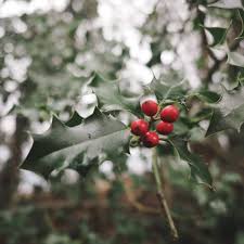 Pin On Inspiration L Hiver