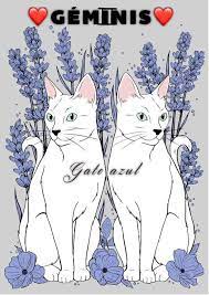 Gato Azul On Twitter Gemini Art Gemini Spirit Animal Gemini Wallpaper