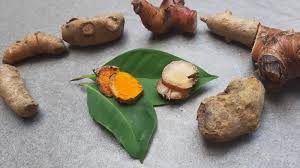 Image result for Zingiberaceae