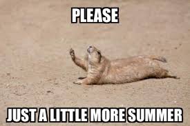 Mrw Labor Day Weekend Comes Memes