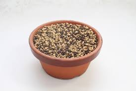 * many cheap retail bonsai come shipped in cheap organic potting soil, with rocks glued or placed on top to make it look like an actual bonsai. Pine And Juniper Bonsai Soil Mix All Things Bonsai